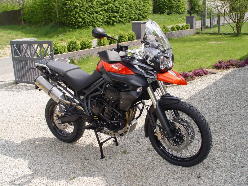 triumph tiger low for sale